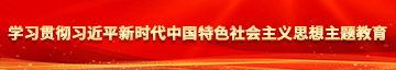 艹大屌艹学习贯彻习近平新时代中国特色社会主义思想主题教育